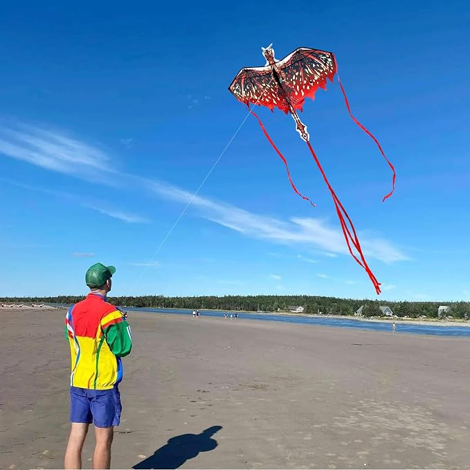 Dragon Kite for Kids & Adults - Image 6