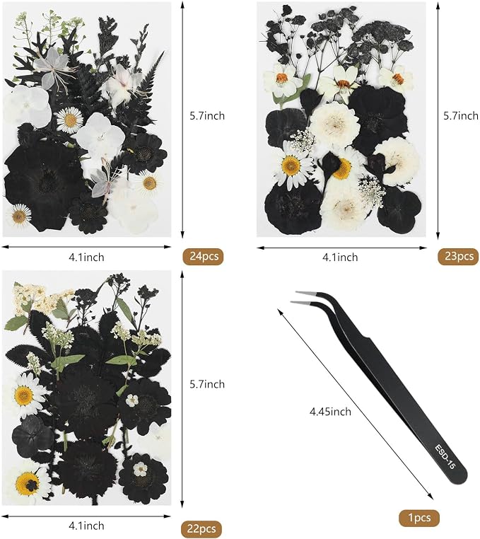 CCINEE 69Pcs Halloween Dried Pressed Flowers - Image 2