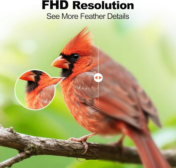 Bird Feeder with Camera, AI Identify Birds Species, FHD WiFi Outdoor Smart Bird - Image 4