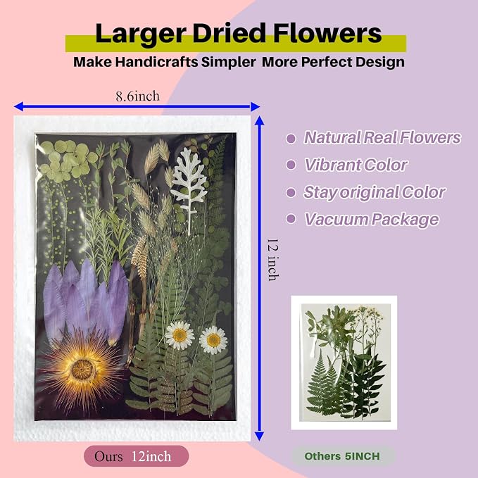 A4 Large Real Dried Pressed Leaves - Image 2