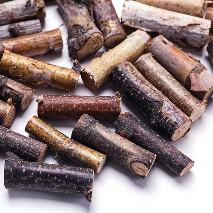 Craft Sticks, Mini Wood Log for Rustic Home Decor - Image 3