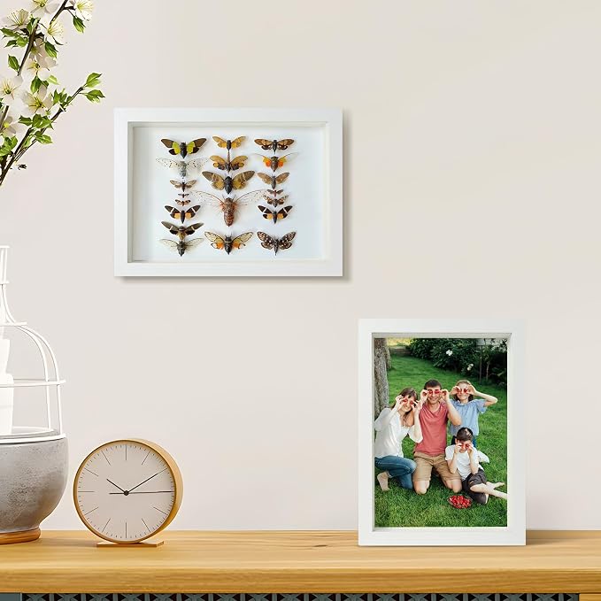 4x6 Small Shadow Box Frame Display Case - Image 6