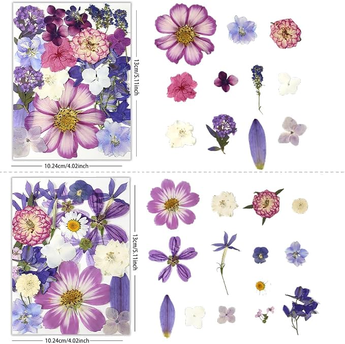 80Pcs Dried Pressed Flowers Purple, Real Natural Bulk Pressed Flowers - Image 3