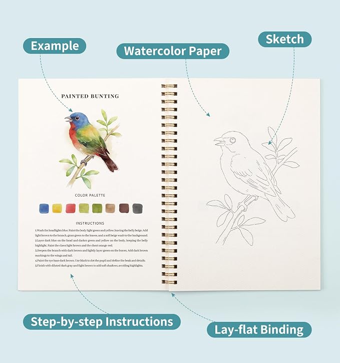 Watercolor Workbook Birds, Water Coloring Book, 12 Different Patterns of - Image 5