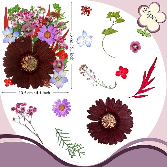 26 Pcs Purple Big Dried Pressed Flowers - Image 6