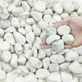 FANTIAN 20 lbs White Stones for Landscaping, 1-2 Inch Pebbles Decorative River by FANTIAN-GardeningMakesLifeBetter