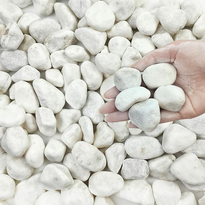 FANTIAN 20 lbs White Stones for Landscaping, 1-2 Inch Pebbles Decorative River by FANTIAN-GardeningMakesLifeBetter