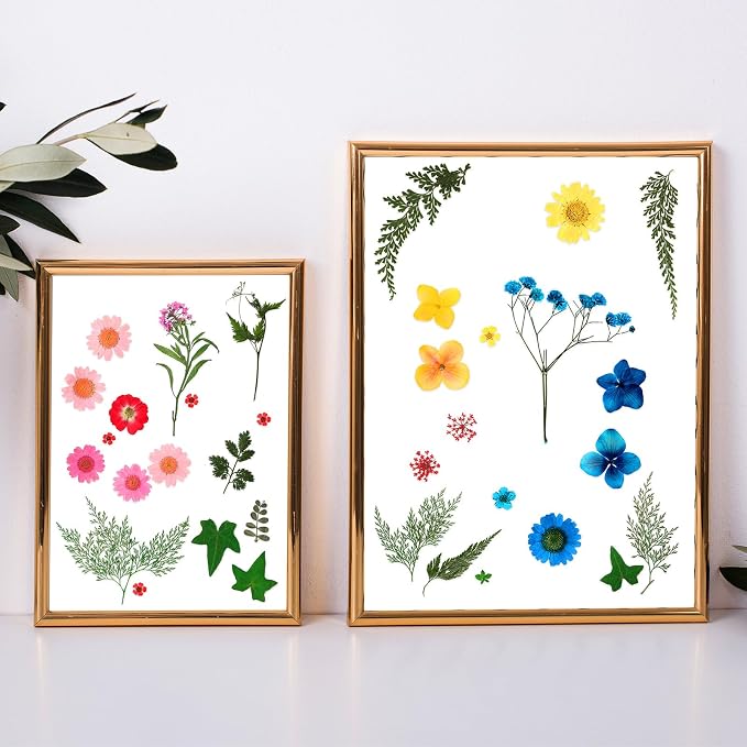 Nuanchu Dried Pressed Flowers for Crafts Resin Christmas Dried Flowers Bulk - Image 6