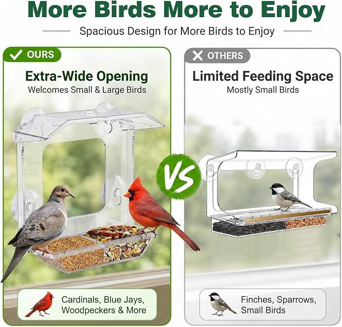 Window Bird Feeder with 4 Extra Strong Suction Cups | Clear Bird Feeder with - Image 5