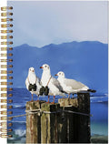 BitKan Funny Bird Spiral Notebooks by bitkan