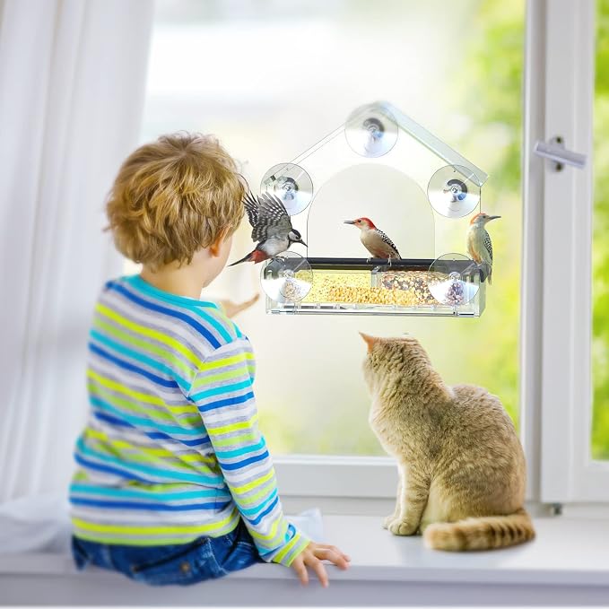 Clear Window Bird Feeder with 5 Extra Strong Suction Cups, DY-SKTY Sturdy and - Image 6