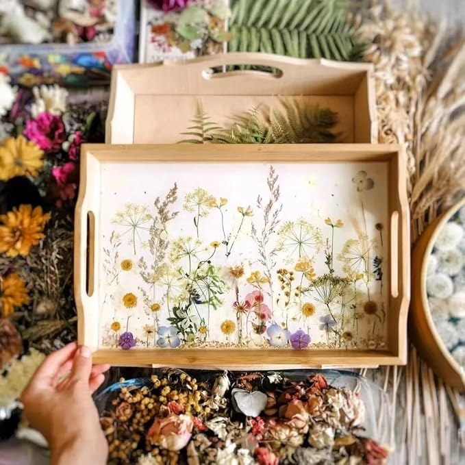 301Pcs Multi-Style Dried Pressed Flowers & Leaves - Image 3