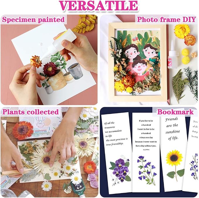 Vignee Real Dried Pressed Leaf Flowers-Multiple Colorful Pressed Flowers Daisies - Image 6