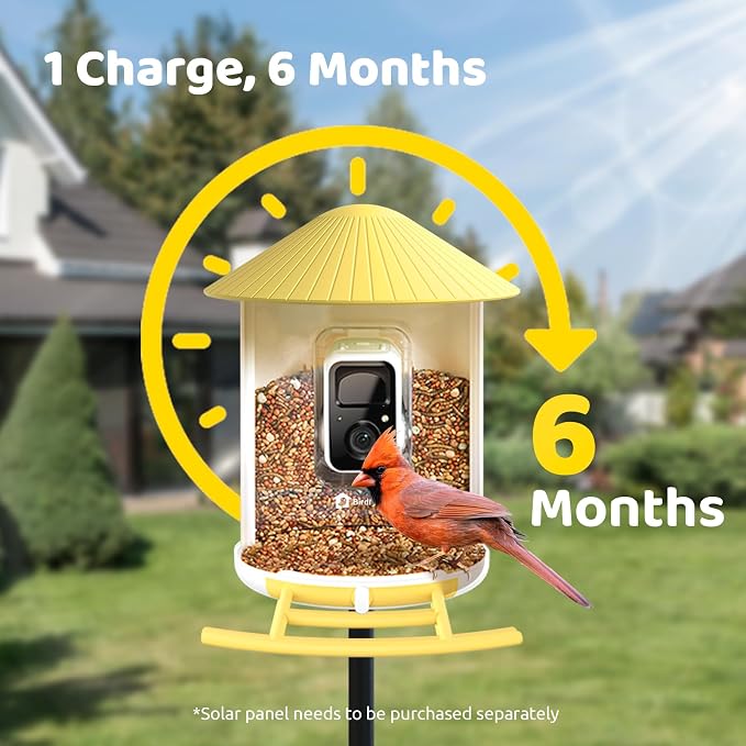 NETVUE by Birdfy Smart Bird Feeder - Image 7