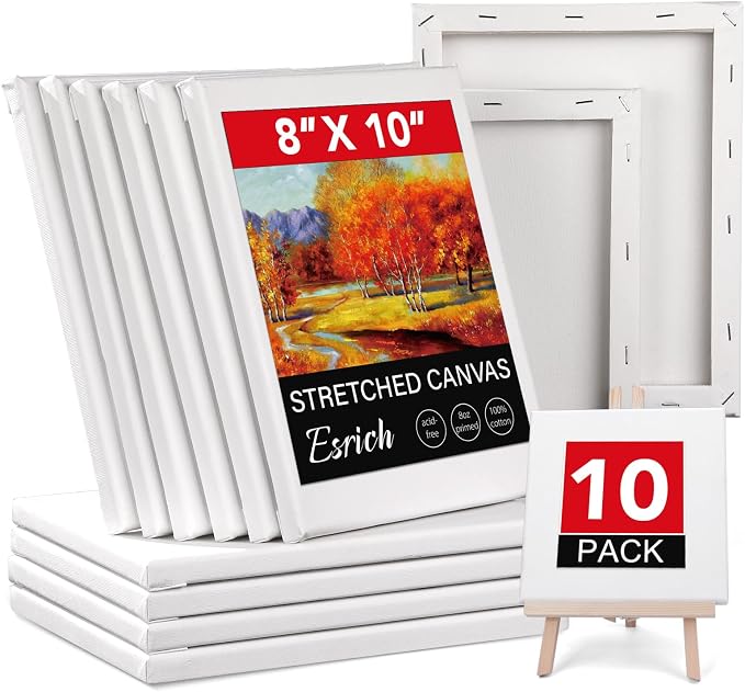 ESRICH Stretched Canvases for Painting 8x10, 10 Pack 8x10 Canvas Value Pack by ESRICH