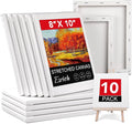 ESRICH Stretched Canvases for Painting 8x10, 10 Pack 8x10 Canvas Value Pack by ESRICH