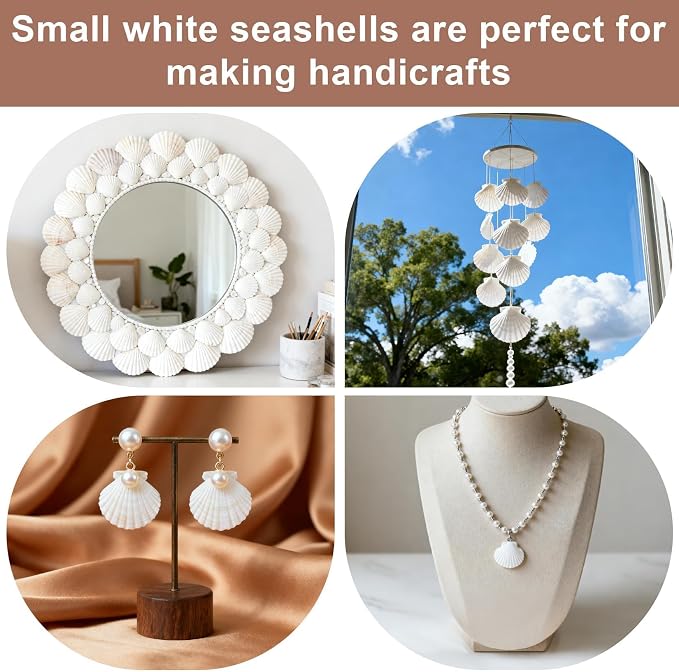 MAQIHAN White Seashells Bulk for Crafts – Small Natural Clam Shells 0.8–1.2 in - Image 5