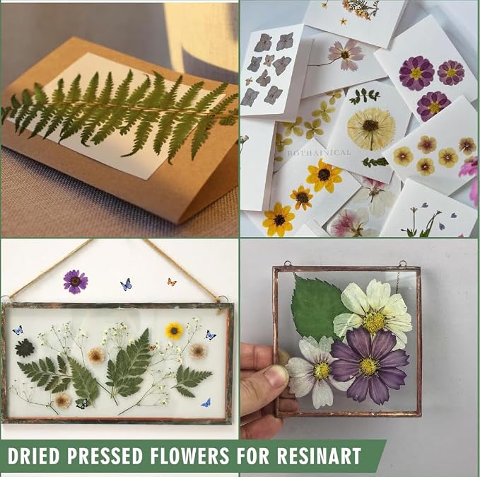 185 Pcs Dried Pressed Flowers for Resin Crafts, Real Natural Pressed Flowers - Image 5