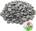 300PCS Tiny Painting Rocks, Meilala DIY Pebble Flat & Smooth Rocks by Meilala