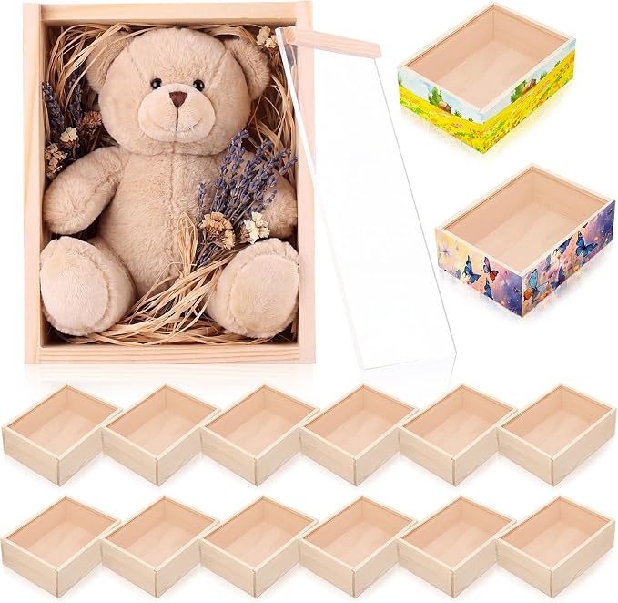 Thyle 12 Pcs Unfinished Wood Display Boxes by Thyle