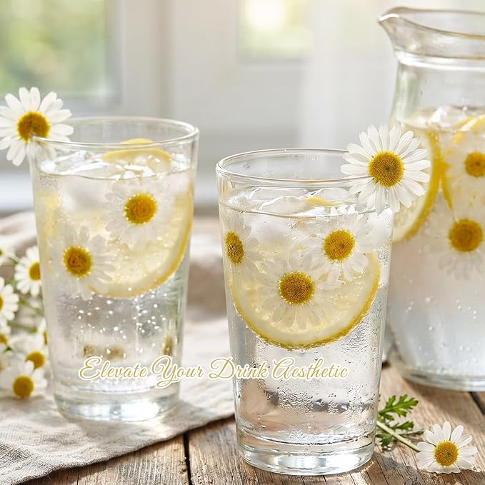 48 Pcs Natural Dried Pressed Daisy Flowers - Image 4