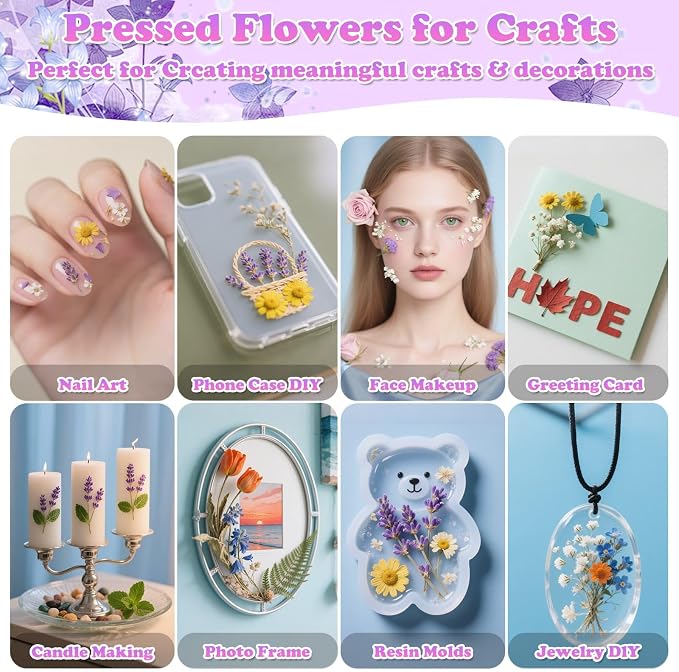 300 Pcs Pressed Dried Flowers - Image 5
