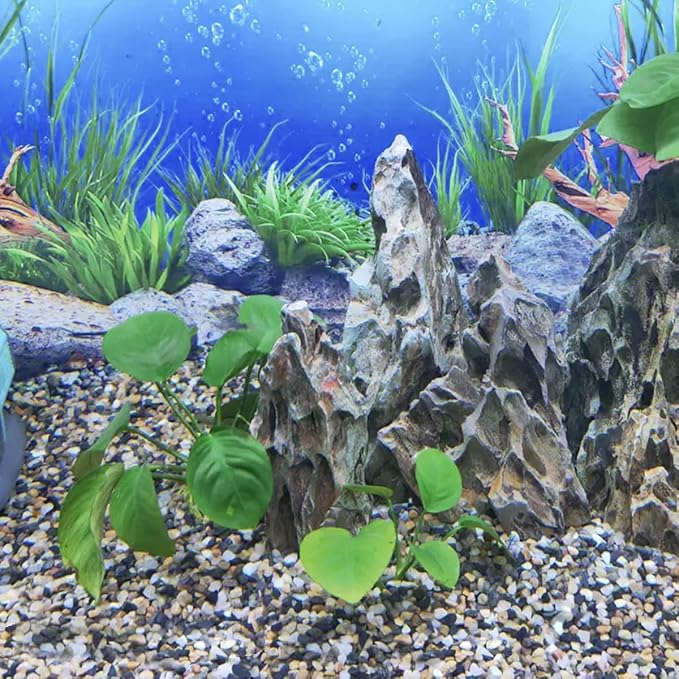 YISZM 10lbs Aquarium Gravel, 1/8" Natural River Rocks Succulent Cactus Pea - Image 7