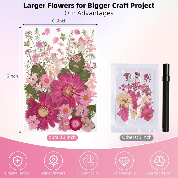 12“ Large Bulk Dried Pressed Flowers - Image 2