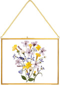 REDHUGO Hanging Pressed Flower Frame Handmade, Double Glass Picture Frame by REDHUGO