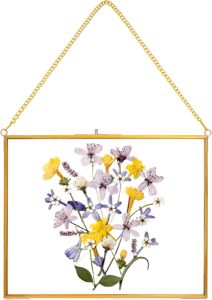 REDHUGO Hanging Pressed Flower Frame Handmade, Double Glass Picture Frame by REDHUGO