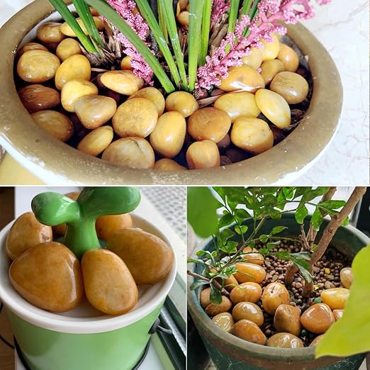YISZM Rocks for Plant 5lbs, High Polished Decorative Stones Vase Filler Fish - Image 3