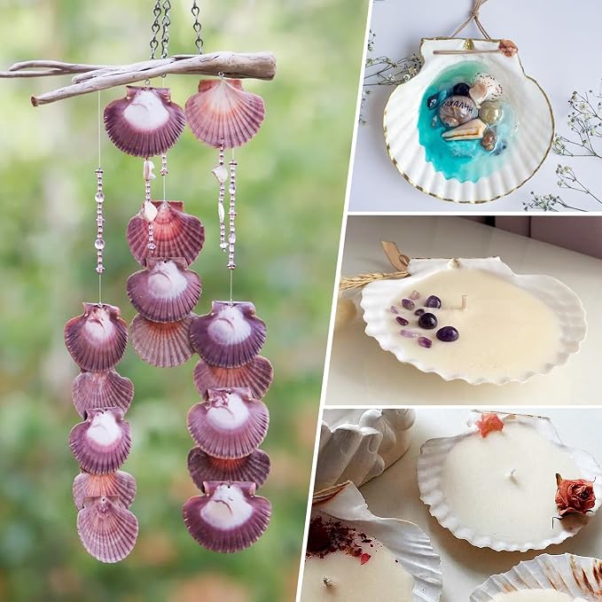 30PCS Natural Scallop Shells Purple Red Sea Shells, Real Seashells from Beach - Image 6