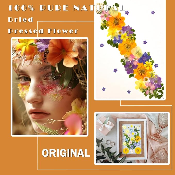 MIKIYA 34Pcs Pressed Dried Flowers - Image 2