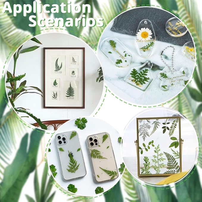 63 Pcs Real Dried Pressed Leaves Natural Assorted Dried Greenery - Image 6