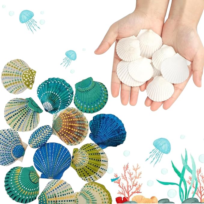 50 PCS Natural Sea Shells 1.6" to 2" White Scallop Shells - Image 3