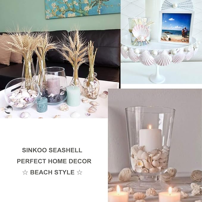 SINKOO Bulk Natural White Small Seashell Clam Super Shells Assortment - Image 7