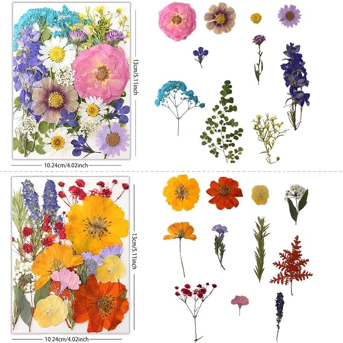 80Pcs Dried Pressed Flowers, Natural Pressed Flowers - Image 2