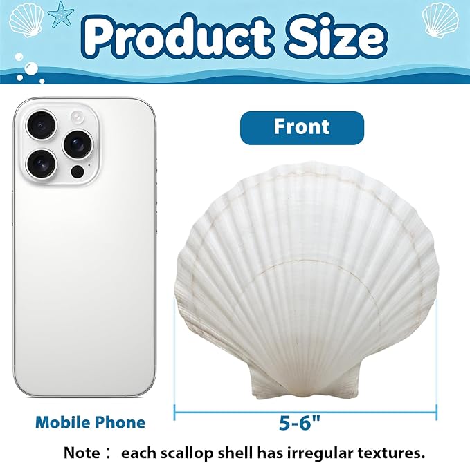 20PCS Extral Large Scallop Shells 5-6 Inch White - Image 2