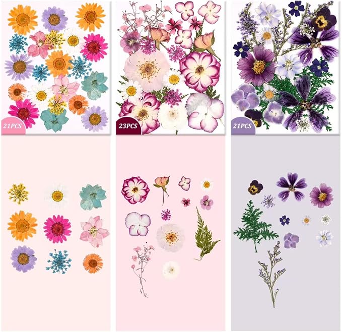 9 Packs of 200 Pressed Dried Flowers and Leaves - Image 5
