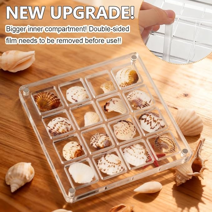 Acrylic Magnetic Seashell Display Box, Beach Shelling Collecting Tools - Image 5