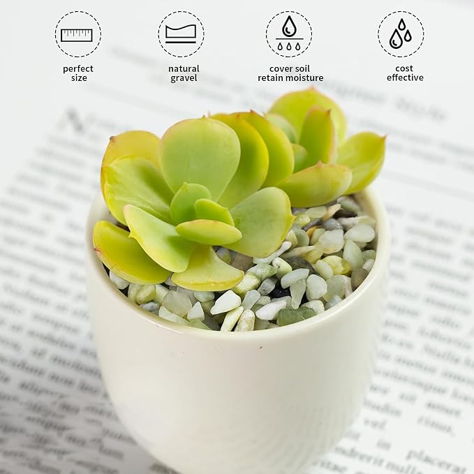 FANTIAN Jade Pebbles for Indoor Plants, 1/4 Inch Polished Green Pea Gravel - Image 4