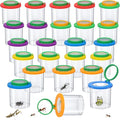 Coopay 24 Pcs Insect Bug Viewer by Coopay