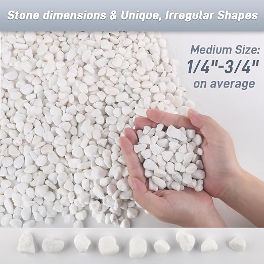 Mulctun 12Lb White Rocks for Plants, 1/4"-3/4" White Pebbles, Decorative Stones - Image 3