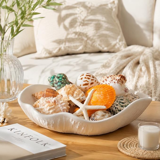JSPYFITS Sea Shells Mixed Beach Seashells 20 Kinds, 1.5"-5.5" Various Sizes - Image 6