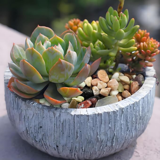 FANTIAN Succulent Rocks, 3/8 Inch Polished Pebbles - Image 5