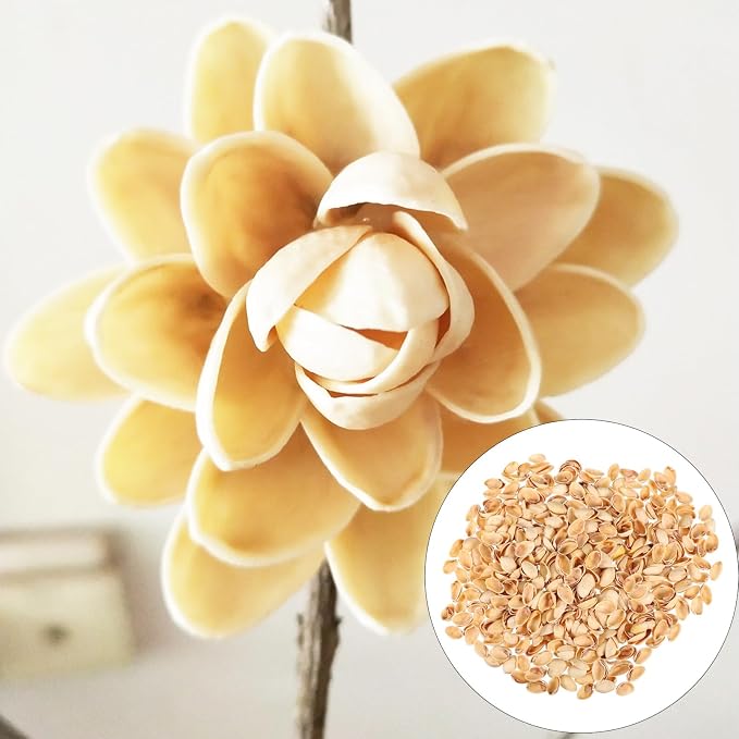 SEWACC Empty Pistachio Shells for DIY Crafts, Natural Handicraft Material for - Image 8