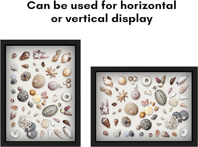 Americanflat 12x16 Shadow Box Frame - Image 4