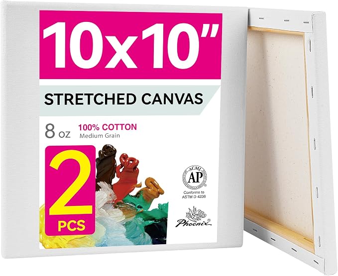 PHOENIX 10x10 Inch Pack of 2 Canvas by PHOENIX