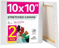 PHOENIX 10x10 Inch Pack of 2 Canvas by PHOENIX