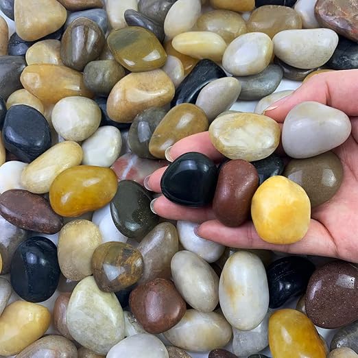 FANTIAN Small Pebbles for Plants, 5 LB Natural Smooth Colorful River Rocks by FANTIAN-GardeningMakesLifeBetter